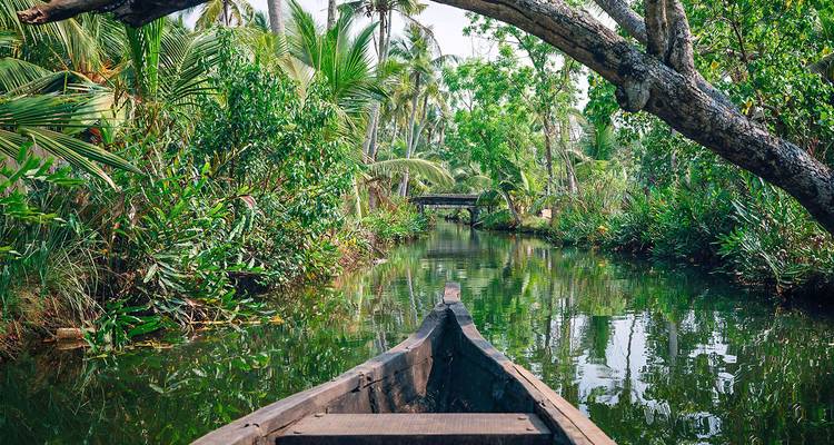 Ein friedlicher bewaldeter Kanal aus der Perspektive eines Kanus betrachtet.
