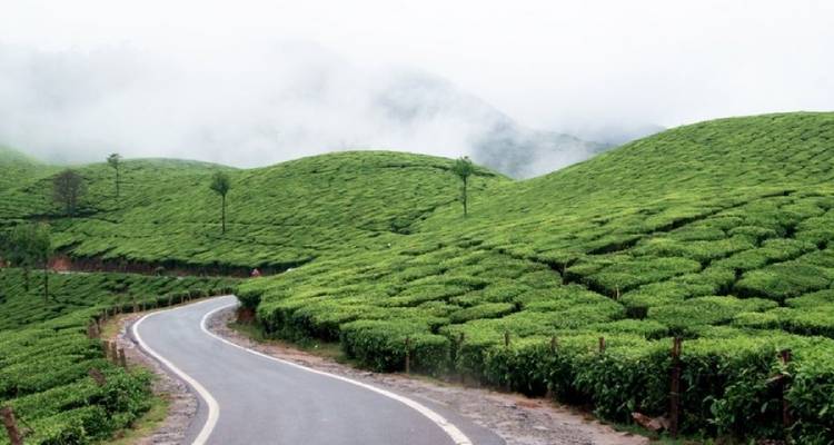 Tailor-Made Best Kerala Tour Package, Daily Depart & Private Car - Agate Travel 2