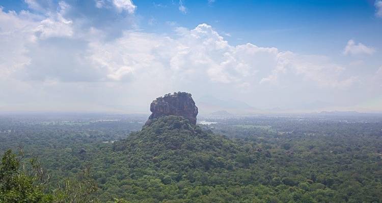 Vue aérienne d'une grande formation rocheuse entourée d'une jungle luxuriante.