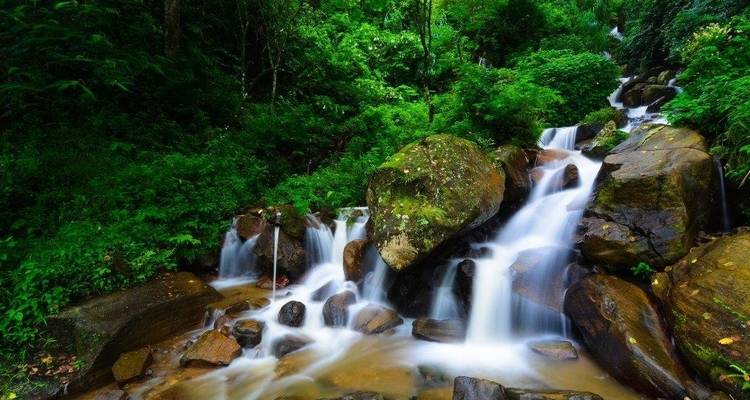 Leopards and Endemic Birds of Sri Lanka - Aitken Spence Travel 9