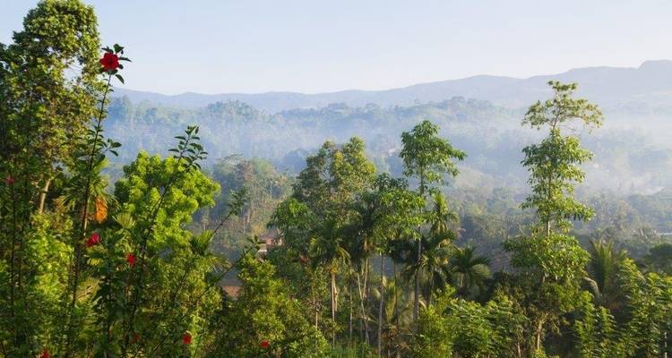 Leopards and Endemic Birds of Sri Lanka - Aitken Spence Travel 3
