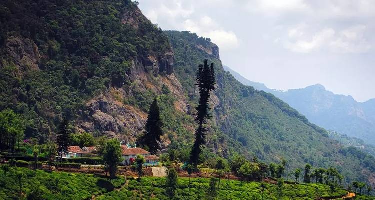 Incroyable circuit en Inde du Sud avec Karnataka, Kerala, Pondichéry et Tamilnadu - Real viaggi india  3