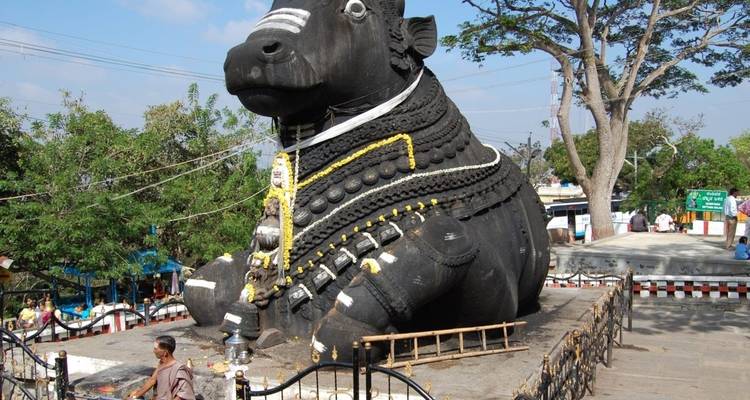 Incroyable circuit en Inde du Sud avec Karnataka, Kerala, Pondichéry et Tamilnadu - Real viaggi india  8