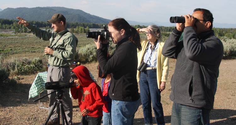 Parques nacionales de Grand Teton / Yellowstone aventura de 2 días / 1 noche por la vida salvaje - BrushBuck Wildlife Tours 8