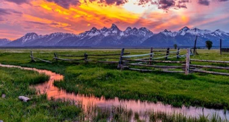 Parques nacionales de Grand Teton / Yellowstone aventura de 2 días / 1 noche por la vida salvaje - BrushBuck Wildlife Tours 2