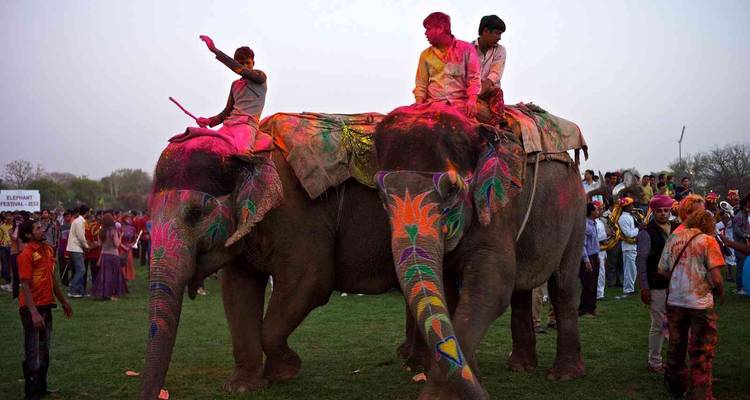 Circuito privado de 11 días de Taj a Benarés con estancia en un Pueblo - Essence India Tourism 1