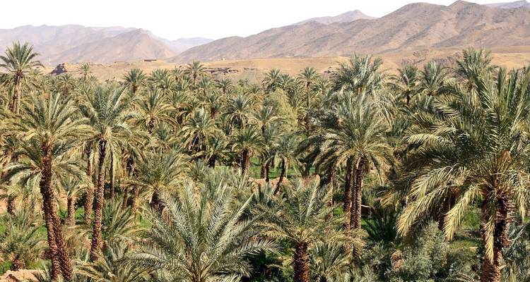 Marrakech y el Desierto del Sáhara Expedición de 6 días - Cultural Morocco Tours 2