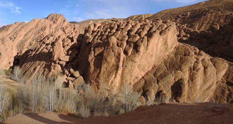 Formaciones rocosas que se asemejan a la forma de una pata de mono.