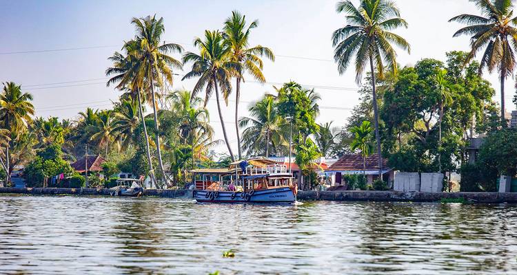 Un bateau sur les eaux stagnantes entouré de cocotiers.