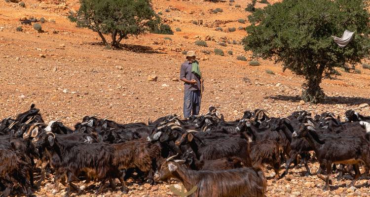 3-Day Atlas Mountain Trek: Valleys, Villages & Berber Trails” -  Amazigh Voyage 4