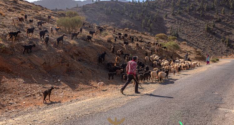 3-Day Atlas Mountain Trek: Valleys, Villages & Berber Trails” -  Amazigh Voyage 6