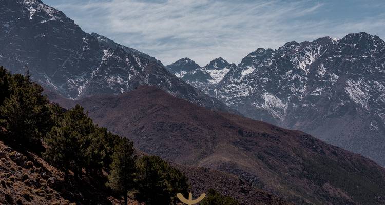 Paysage de montagne avec des arbres et des sommets enneigés.