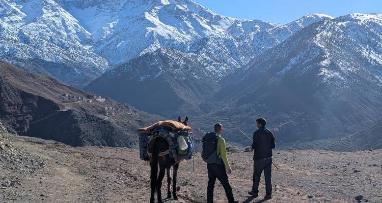 Dos personas con un burro contemplando picos montañosos nevados.