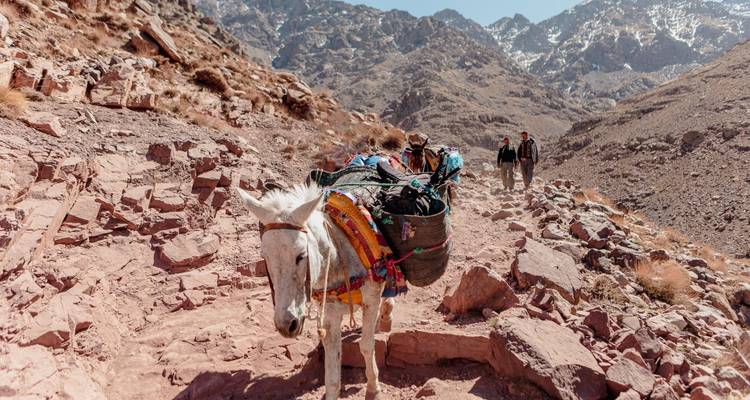 6 -Day VALLEY ATLAS & Mt Toubkal Ascent -  Amazigh Voyage 7