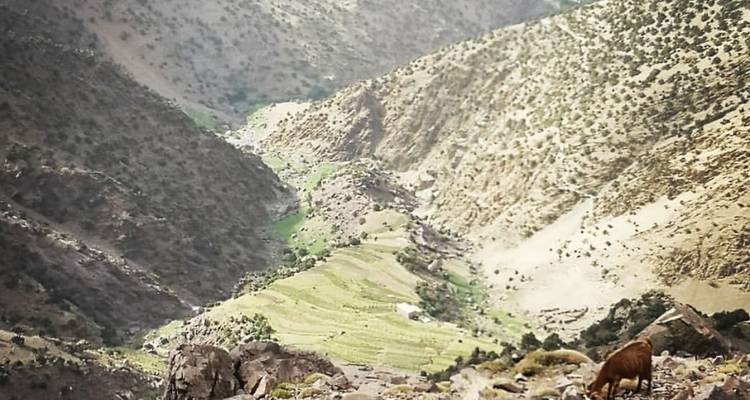 6 -Day VALLEY ATLAS & Mt Toubkal Ascent -  Amazigh Voyage 9