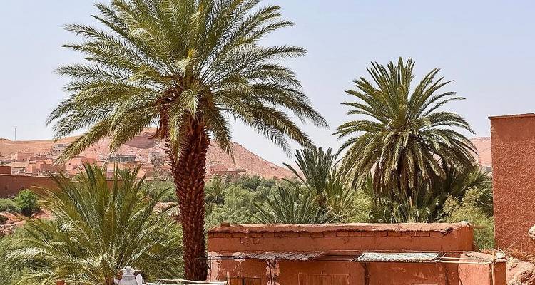 3-Day Sahara Desert Tour from Marrakech -  Amazigh Voyage 6