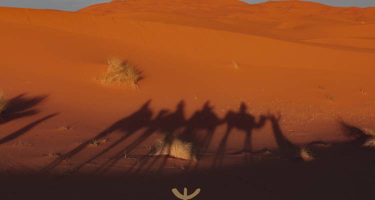 Trek profond de 7 jours à dos de chameau dans le désert du Sahara | Voyagez comme un vrai nomade du désert -  Amazigh Voyage 9