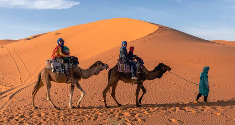 Trek profond de 7 jours à dos de chameau dans le désert du Sahara | Voyagez comme un vrai nomade du désert -  Amazigh Voyage 6