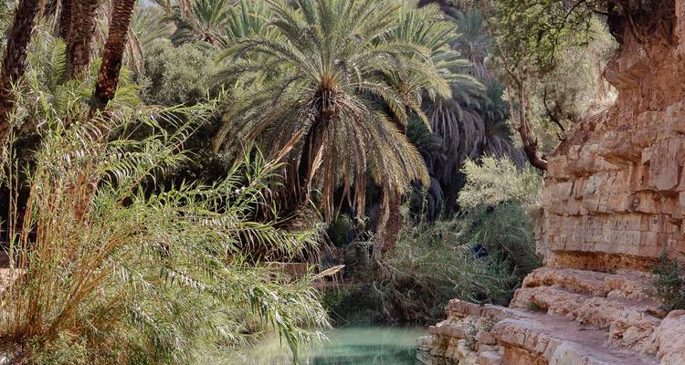 8 Días (Circuito guiado privado) | Explora lo más destacado de Marruecos -  Amazigh Voyage 6