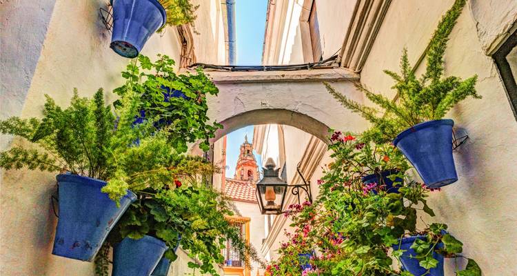 Excursión de 6 días al sur de España y los tesoros de Andalucía en grupo pequeño desde Madrid - Rabbie’s Small Group Tours 6