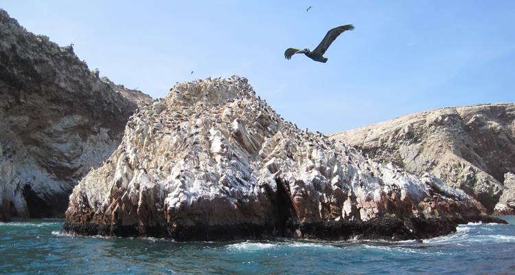 Aventura en el Desierto: Paracas, Ica y HuacaChina con Buggies y Sandboarding - Waman Adventures 3