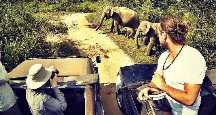 Sri Lanka Classic Tour - 7 jours et 6 nuits avec chauffeur privé, véhicule et hébergement H/B - Lanka Safe Tours 6