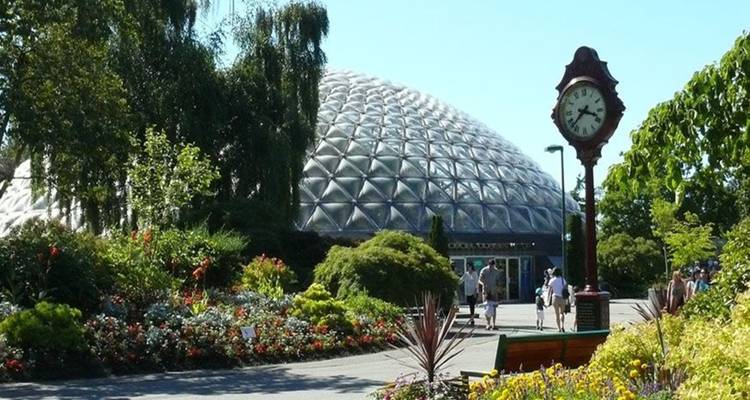 Vancouver Aquarium and Bloedel conservatory wildlife tour private - Globalduniya 4