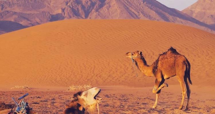 3 days 2 Nights Shared Merzouga Desert Tour overnight in luxury camp - Morocco Destination Expert 10