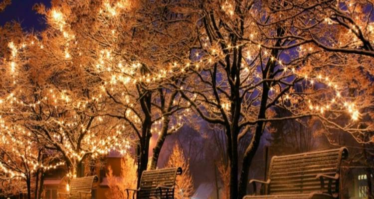Navidad en Vancouver,Luces del Cañón de Capilano y noche Brillante en Stanley Private - Globalduniya 4