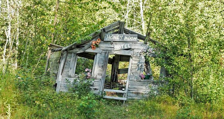 La faune et la nature en point de mire - EPIC NORTH Tour Experiences Inc. 4