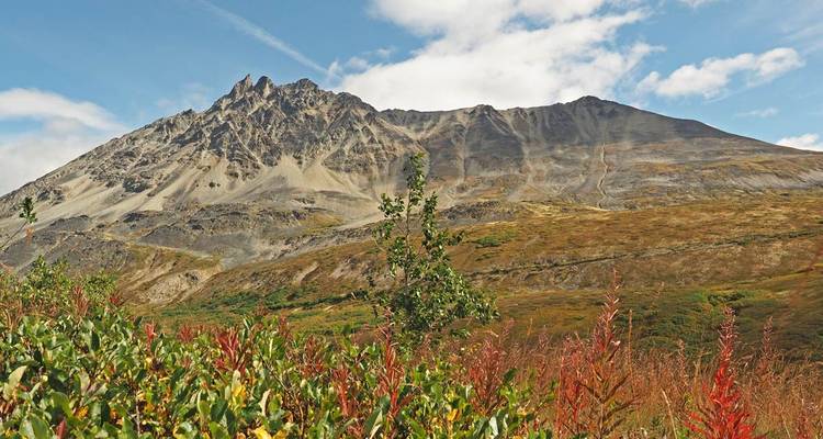 La faune et la nature en point de mire - EPIC NORTH Tour Experiences Inc. 1