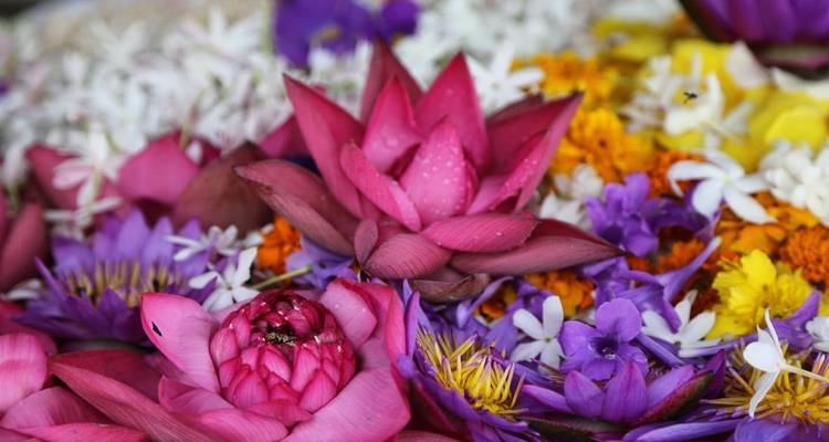 Itinerario de 4 días por Sri Lanka - Holiday Lanka Tours 1