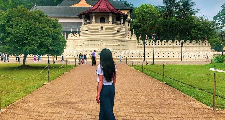 Sauvage et divin au Sri Lanka - Overa Tours 6