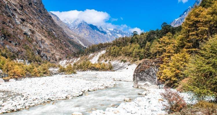 Caminata al campamento base norte de Kanchenjuna - Sherpa Expedition & Trekking Pvt. Ltd. 4