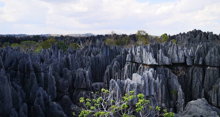 Circuito a la fauna de Madagascar 14D/13N - Across Africa Tours & Travel 7