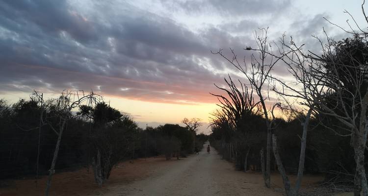 Circuito a la fauna de Madagascar 14D/13N - Across Africa Tours & Travel 9