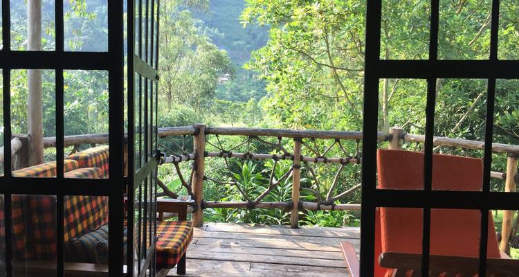 Ouganda - Aventure de conservation des gorilles - Discover Corps 3
