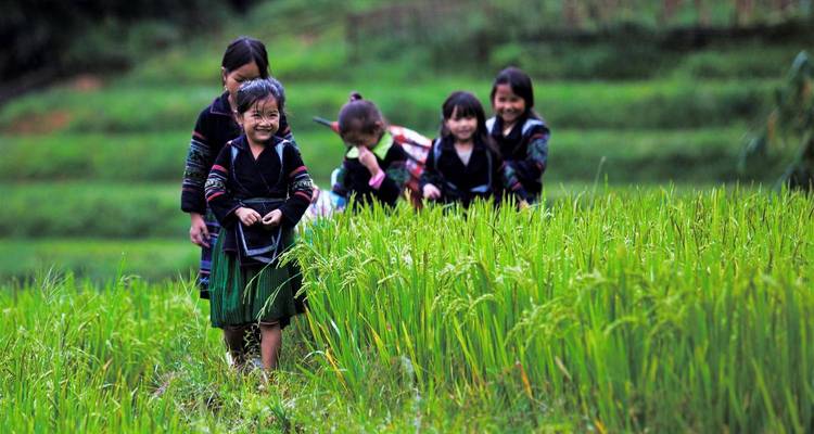 Circuit en groupe - Hors des sentiers battus dans le nord du Vietnam 8 jours 7 nuits - Mr Linh's Adventures 7