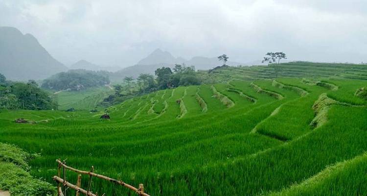 Circuit en groupe - Hors des sentiers battus dans le nord du Vietnam 8 jours 7 nuits - Mr Linh's Adventures 9