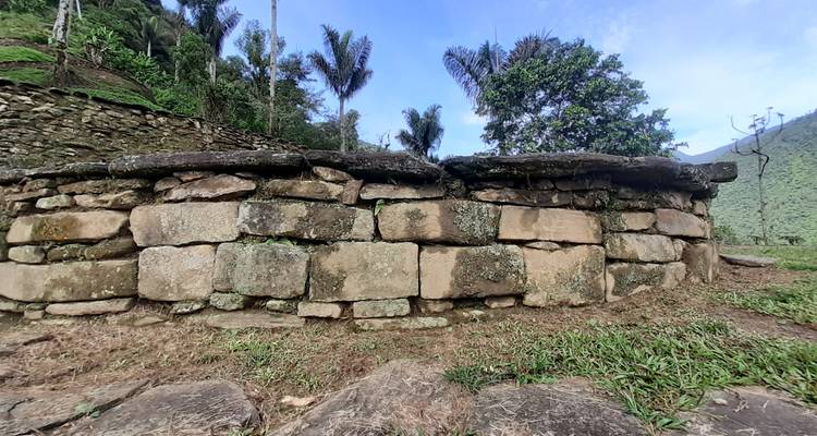 Lost City Trek & Cartagena 8 Days - GUIDEcuador Travel 6