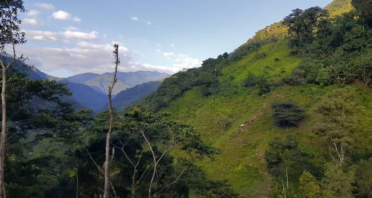 Lost City Trek & Cartagena 8 Days - GUIDEcuador Travel 10