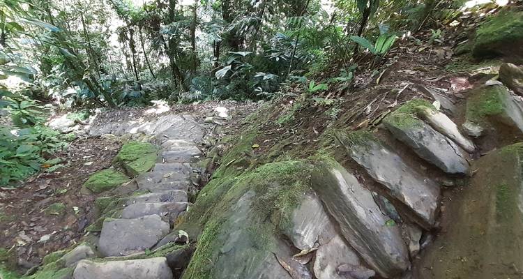 Lost City Trek & Cartagena 8 Days - GUIDEcuador Travel 8