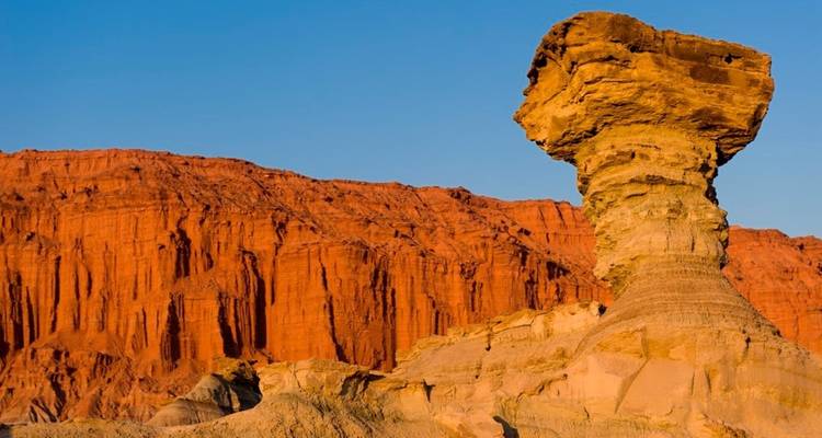 Découverte du désert d'Atacama - Receptivo Aborigen Tours 8