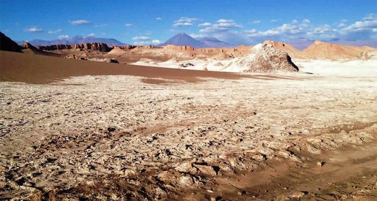 Découverte du désert d'Atacama - Receptivo Aborigen Tours 7