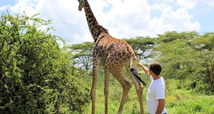 Safari de 8 días por lo mejor de la vida salvaje de Kenia - Gama media - Gracepatt Ecotours Kenya 10