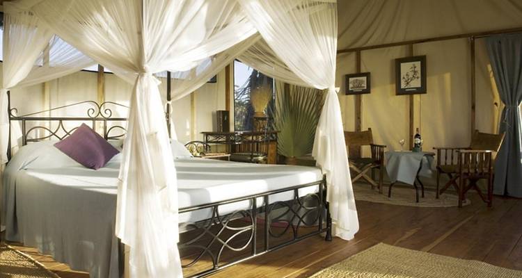 Safari clásico de 9 días en lodge por Kenia - Gracepatt Ecotours Kenya 4