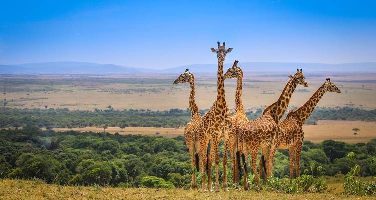 9 jours de safari familial au Kenya au départ de Nairobi - Gracepatt Ecotours Kenya 3