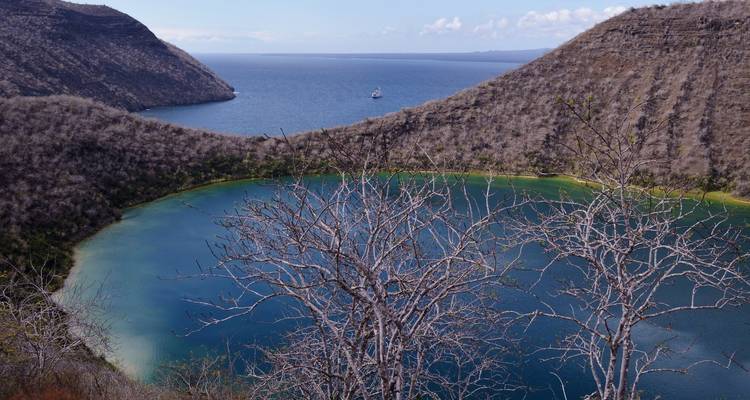 Circuit unique à la découverte des îles Galápagos et de l'île Española - PALMARVOYAGES Tour Operator in ECUADOR 10