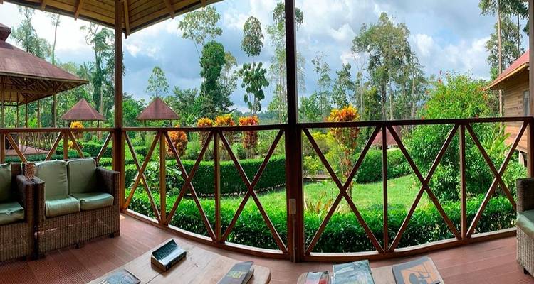 Amazon Yasuni Park Trip in Superior Eco Lodge - PALMARVOYAGES Tour Operator in ECUADOR 7