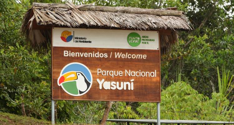 Amazon Yasuni Park Trip in Superior Eco Lodge - PALMARVOYAGES Tour Operator in ECUADOR 10